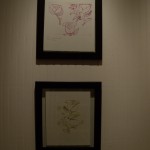 AFC Prints: Flowers and Birds AFC Prints: Flowers and Birds
