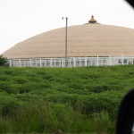 A dome at Maharishi University